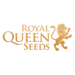 Royal Queen Seeds